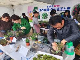 대구 동구, 2024년 불로화훼 봄꽃축제 개최 기사 이미지