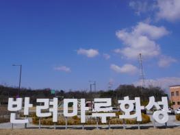 경기도, 반려마루화성 입양가족과 홈커밍데이 개최 기사 이미지
