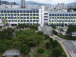 양산에서 대한민국 우슈 최강자 가린다 기사 이미지